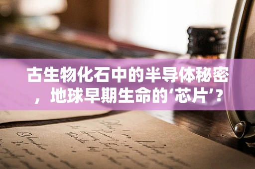 古生物化石中的半导体秘密，地球早期生命的‘芯片’？