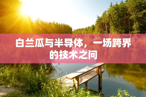 白兰瓜与半导体，一场跨界的技术之问