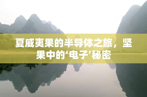 夏威夷果的半导体之旅，坚果中的‘电子’秘密