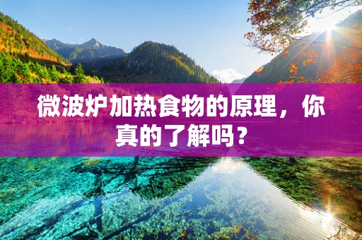 微波炉加热食物的原理，你真的了解吗？
