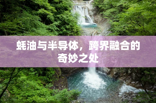 蚝油与半导体，跨界融合的奇妙之处
