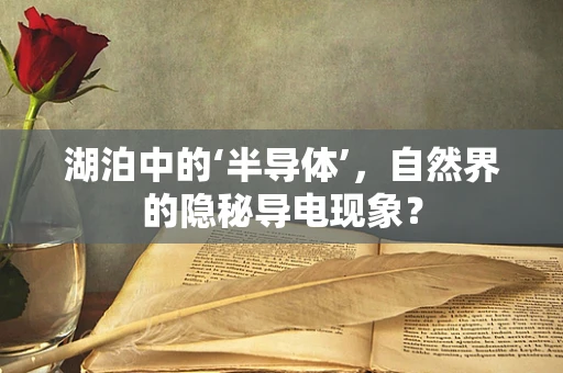 湖泊中的‘半导体’，自然界的隐秘导电现象？