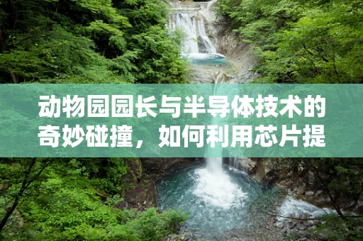 动物园园长与半导体技术的奇妙碰撞，如何利用芯片提升动物福利？