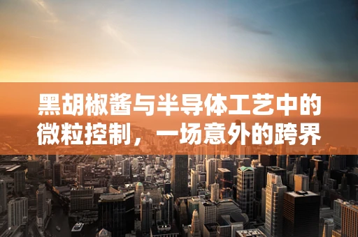 黑胡椒酱与半导体工艺中的微粒控制，一场意外的跨界思考