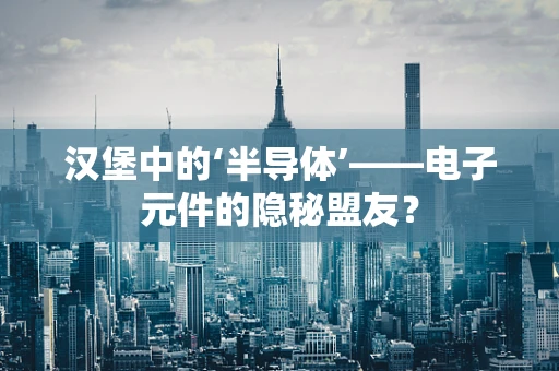 汉堡中的‘半导体’——电子元件的隐秘盟友？