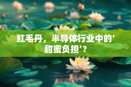 红毛丹，半导体行业中的‘甜蜜负担’？