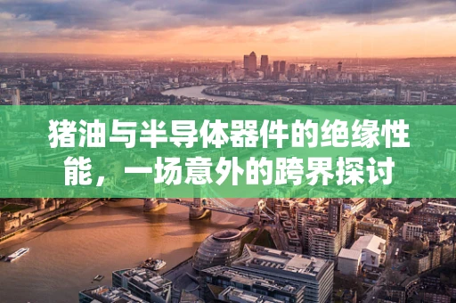 猪油与半导体器件的绝缘性能，一场意外的跨界探讨