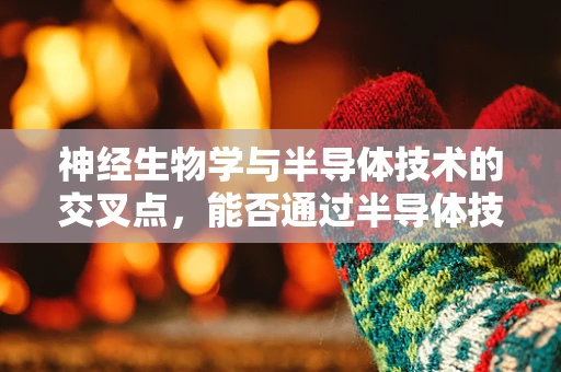 神经生物学与半导体技术的交叉点，能否通过半导体技术模拟神经元网络？