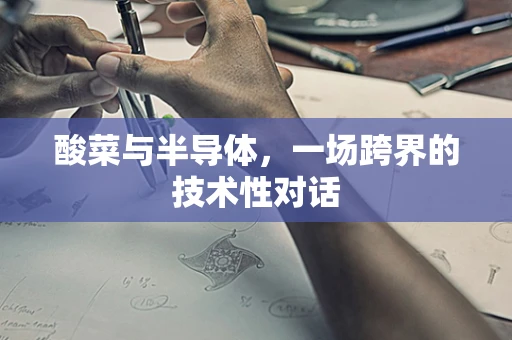 酸菜与半导体，一场跨界的技术性对话