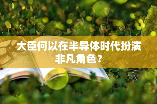 大臣何以在半导体时代扮演非凡角色？