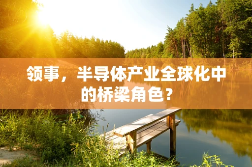 领事，半导体产业全球化中的桥梁角色？
