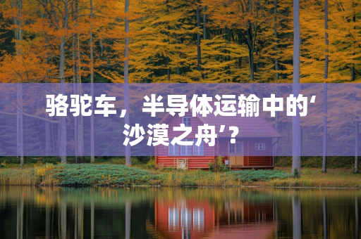 骆驼车，半导体运输中的‘沙漠之舟’？