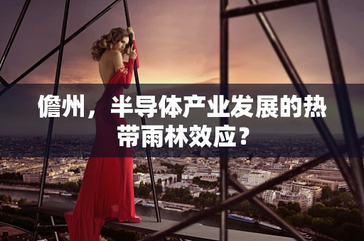 儋州，半导体产业发展的热带雨林效应？
