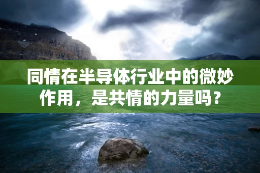 同情在半导体行业中的微妙作用，是共情的力量吗？