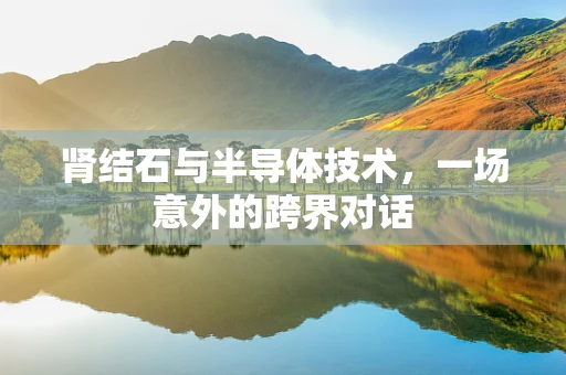 肾结石与半导体技术，一场意外的跨界对话