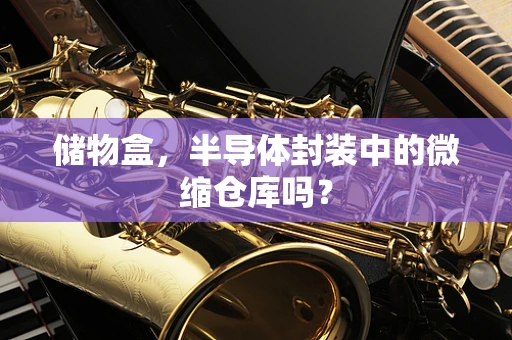 储物盒，半导体封装中的微缩仓库吗？
