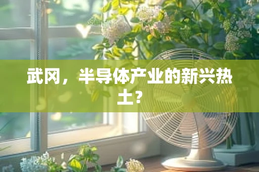 武冈，半导体产业的新兴热土？