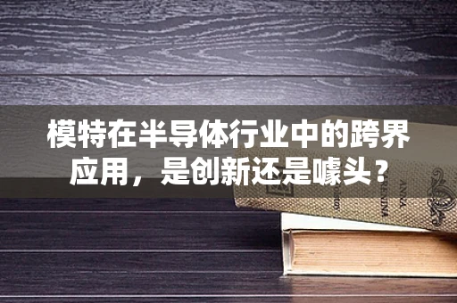 模特在半导体行业中的跨界应用，是创新还是噱头？