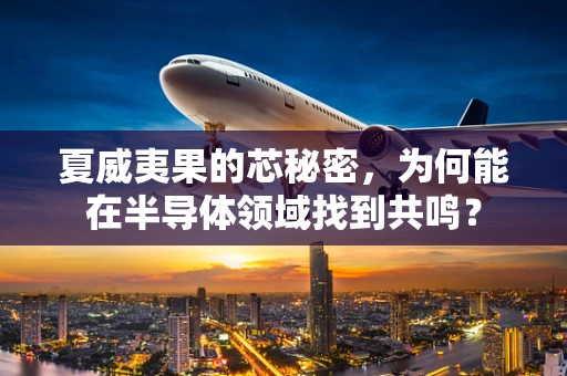 夏威夷果的芯秘密，为何能在半导体领域找到共鸣？