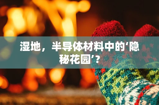 湿地，半导体材料中的‘隐秘花园’？