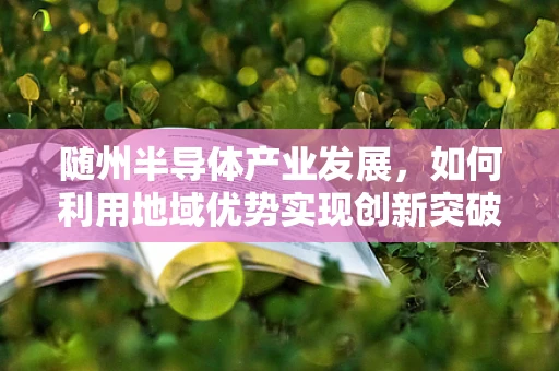 随州半导体产业发展，如何利用地域优势实现创新突破？