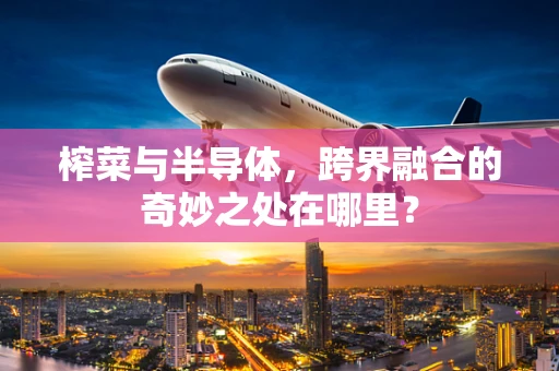 榨菜与半导体，跨界融合的奇妙之处在哪里？