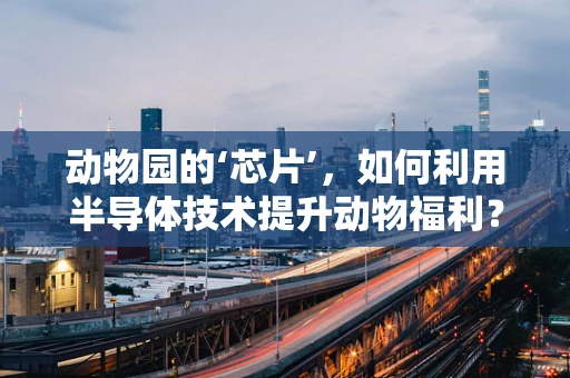 动物园的‘芯片’，如何利用半导体技术提升动物福利？