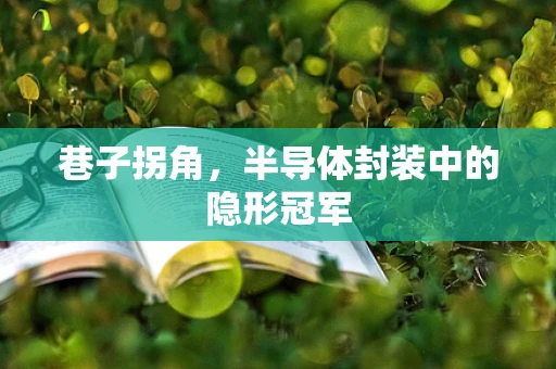 巷子拐角，半导体封装中的隐形冠军