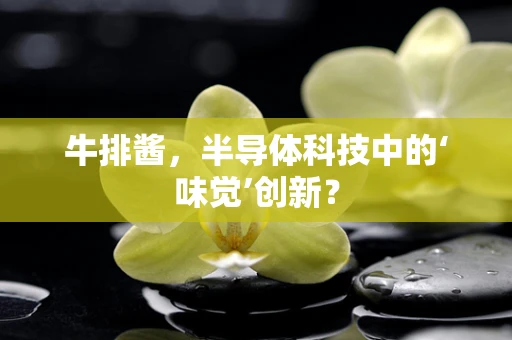 牛排酱，半导体科技中的‘味觉’创新？