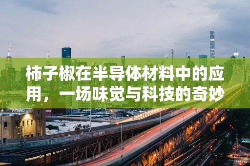 柿子椒在半导体材料中的应用，一场味觉与科技的奇妙碰撞？