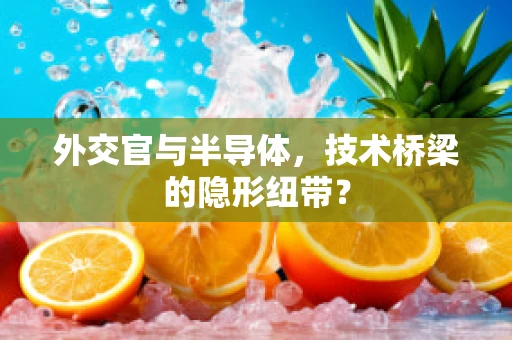 外交官与半导体，技术桥梁的隐形纽带？