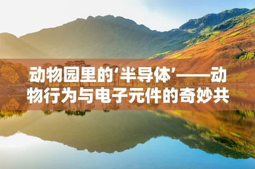 动物园里的‘半导体’——动物行为与电子元件的奇妙共存