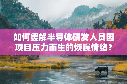 如何缓解半导体研发人员因项目压力而生的烦躁情绪？
