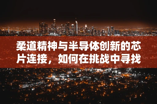 柔道精神与半导体创新的芯片连接，如何在挑战中寻找突破？
