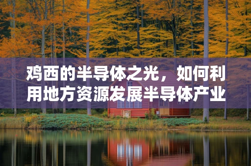 鸡西的半导体之光，如何利用地方资源发展半导体产业？