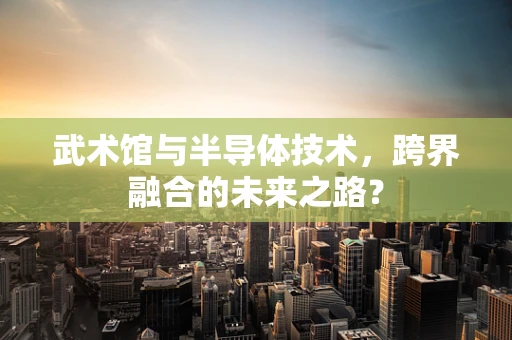 武术馆与半导体技术，跨界融合的未来之路？