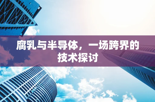 腐乳与半导体，一场跨界的技术探讨