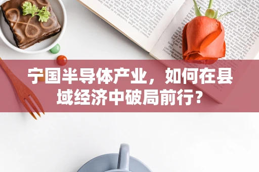 宁国半导体产业，如何在县域经济中破局前行？