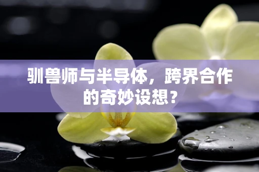 驯兽师与半导体，跨界合作的奇妙设想？