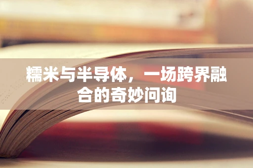糯米与半导体，一场跨界融合的奇妙问询