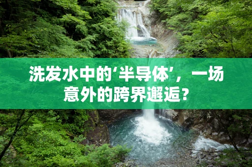 洗发水中的‘半导体’，一场意外的跨界邂逅？