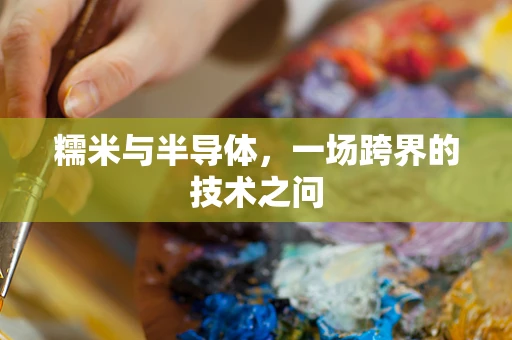 糯米与半导体，一场跨界的技术之问