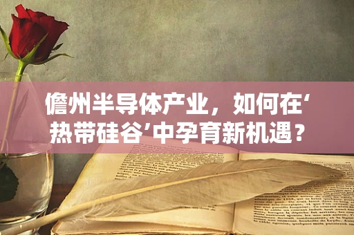 儋州半导体产业，如何在‘热带硅谷’中孕育新机遇？