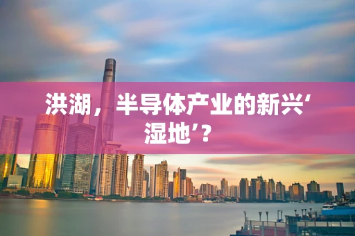 洪湖，半导体产业的新兴‘湿地’？
