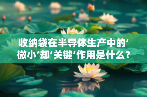 收纳袋在半导体生产中的‘微小’却‘关键’作用是什么？