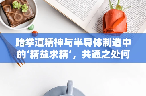跆拳道精神与半导体制造中的‘精益求精’，共通之处何在？