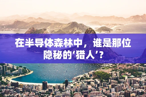 在半导体森林中，谁是那位隐秘的‘猎人’？