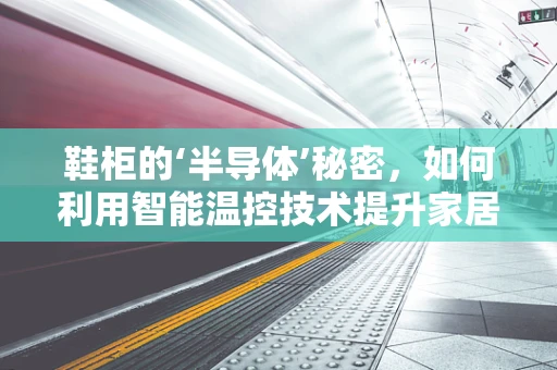 鞋柜的‘半导体’秘密，如何利用智能温控技术提升家居生活品质？