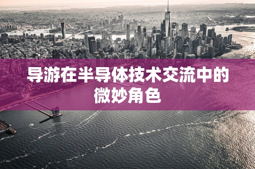 导游在半导体技术交流中的微妙角色