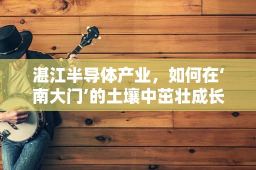 湛江半导体产业，如何在‘南大门’的土壤中茁壮成长？